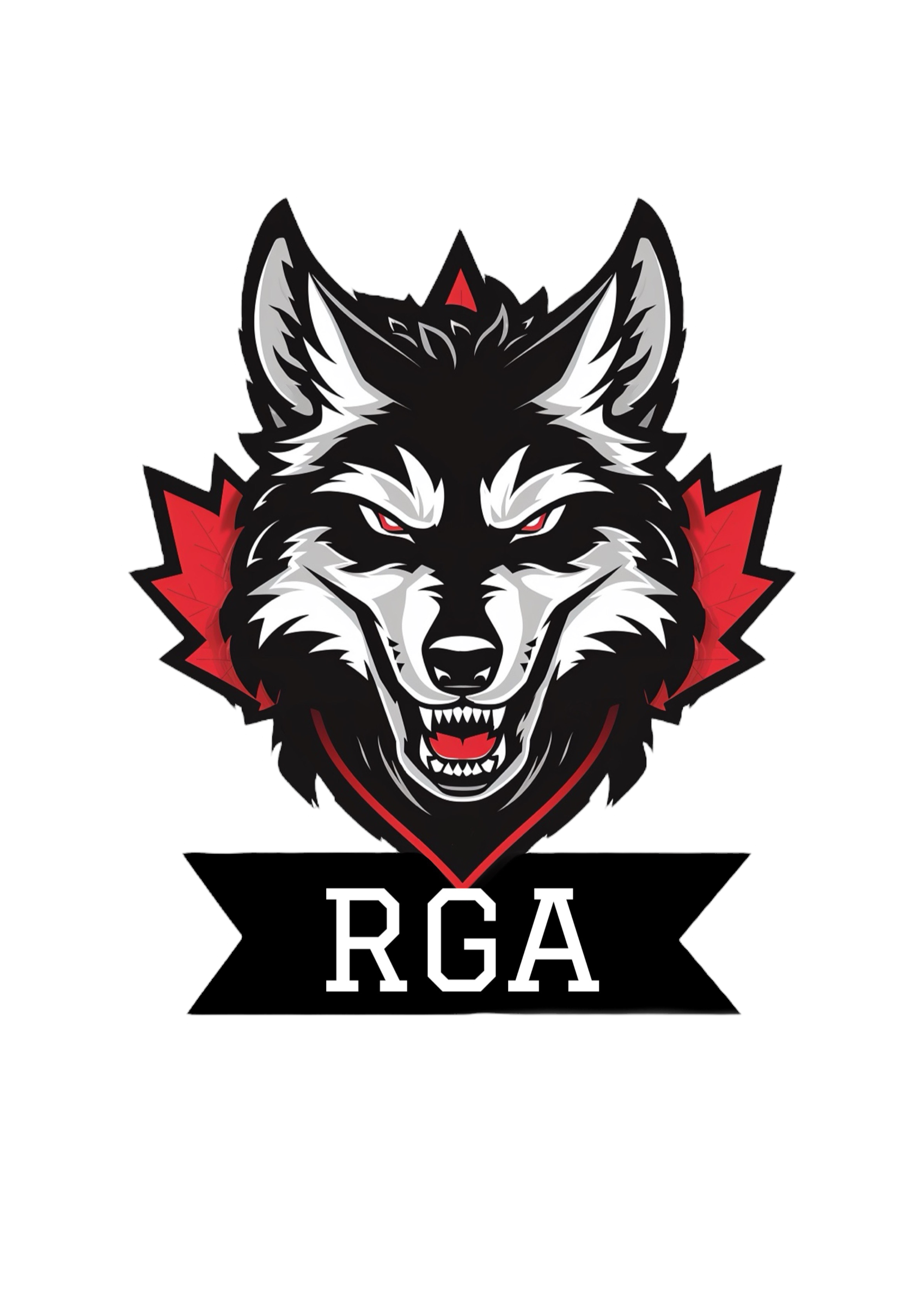 Goalie School Logo